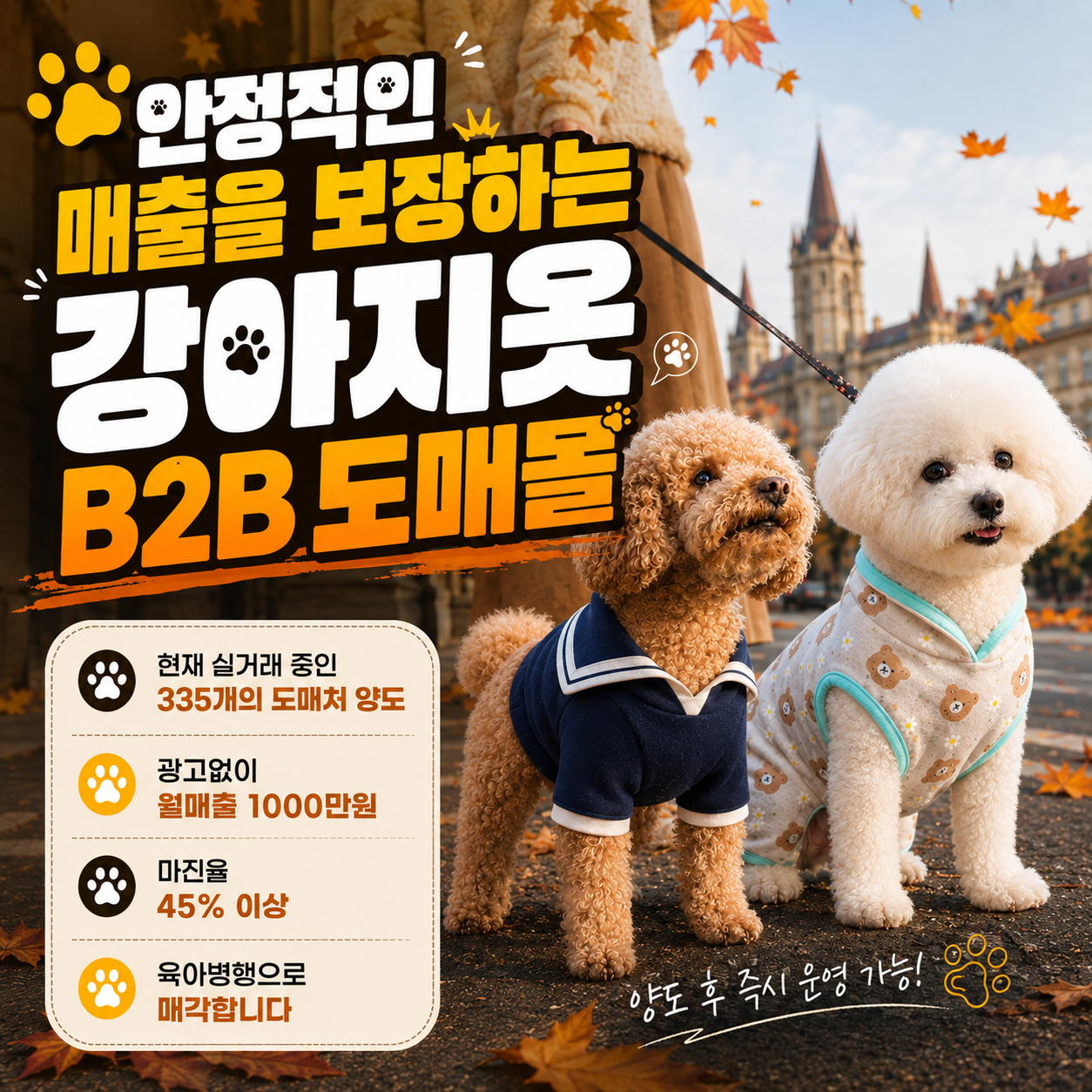 펫